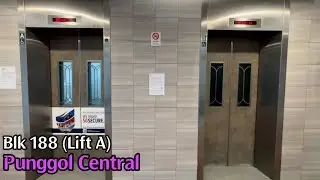 🟣 Blk 188 Punggol - LG [Lift A]