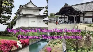Imperial Palace/East Gardens, Tokyo | Japan Travel Vlog |