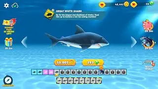 Hungry Shark Evolution GREAT WHITE SHARK Gameplay - (iOS, Android) Part 1