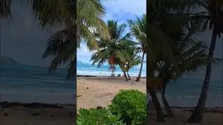 Пляж Ринкон. Доминиканская Республика. #livegiveandtravel #travel #youtubeshorts #domicanrepublic...