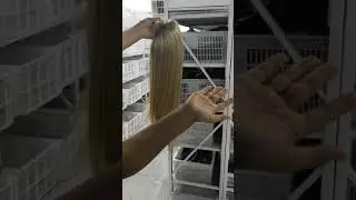 good virgin hair wholesale vendors 613 full lace wig amazon custom colored silk base wigs vendor