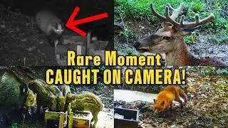 I Didn&rsquo;t Expect This on My Hidden Camera&hellip; (SHOCKING FOOTAGE)!
