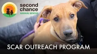 SCAR's Outreach Program | Second Chance Animal Rescue [SHORT VERSION]