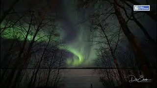 Northern lights Canada and our backyard view | Pinehouse Lake | Aurora Saskatchewan