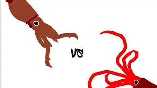 DC2BA: Colossal squid vs giant squid