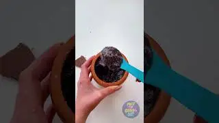 MAKE THE MAGIC CHOCOLATE BALL 🪄🍫 #shorts #yummy