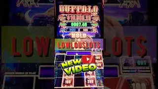 Unexpected 200x BIG WIN on Buffalo Link playing $1 bet!!                  #casino #buffalo #shorts