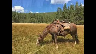 2019 CDT II Colorado  Colorado - Wyomig Nobo
