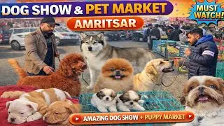 Punjab Biggest Dog Show & Pet Market 😱 | Amritsar Vlog 2026