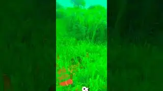 🌾farming anthem song🎋 #shorts #viral #youtubeshorts #instagram #farming#whatsappstatus