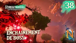 Enchainement de boss [Hyrule Warriors Les Chroniques du Sceau] #38
