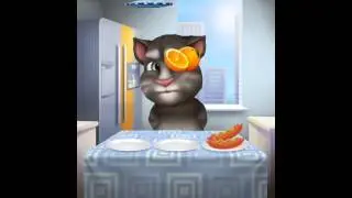 [My Talking Tom] Fat tom