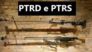 PTRD e PTRS