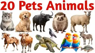 20 Pet Names in English for Kids | Fun Animal Learning & Vocabulary Video