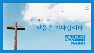 170816 수요설교 믿음은 기다림이다_정신효 목사