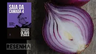 Saia da camada 4 | Jota Borgonhoni e outros