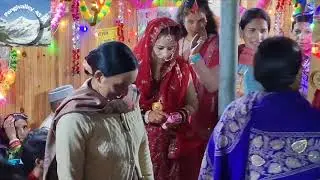 New Dulhan Dance video(Rachna weds vivek)#wedding #minivlog #trending #himachal #youtubeshorts #fun 