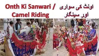 Onth ki sawari | Camel Riding #onth #camelride #camelsofdesert #camel #camelracing #nangarparkar
