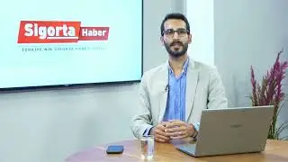 Emerging Risks in the Insurance Sector: Artificial Intelligence and Cybercrime