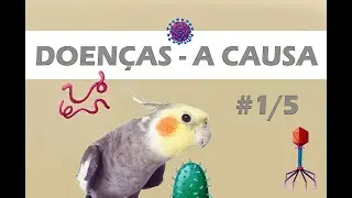 MINISSÉRIE - Doenças - Episódio #01