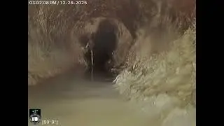 307560