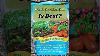 The Best Seed Starting Soil Test Winner!