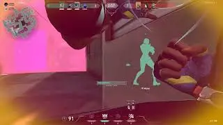 Some Gekko Thrash Bug 2