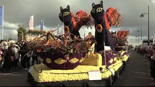 Flower Parade in Netherlands Draws Thousands of Tourists
