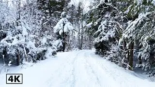 The Amazing Long Lake National Park in Halifax, Nova Scotia, Canada |  4k  Winter Season
