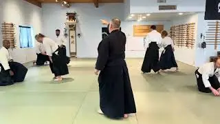Aikido: Summer Camp 2025 - Body Art