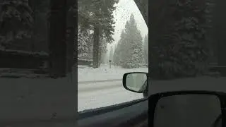 ❄️ First Car Camping Trip in WINTER! Subaru Outback Wilderness #shorts