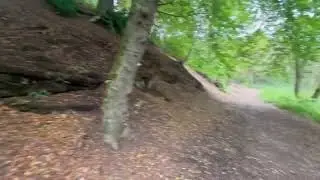 Enroute to the Chained Oak