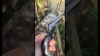 .22 Short Vs .22 LR Power Test Comparison