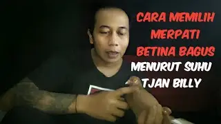 Cara memilih merpati betina bagus,Menurut suhu Tjan Billy