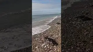 Bridlington UK. Beach walk