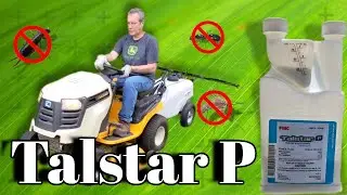 Talstar P &mdash; профессиональный обзор инсектицида &mdash; лучший ли он?