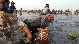 Fishing documentary of Bangladesh |  Best Bout Festival Fishing From Village Bil (Part-8)
