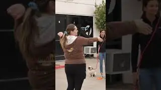 Building Community and Rapport/ Epic Dog Academy #Shorts
