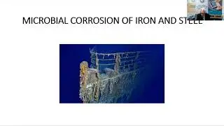 Microbial Corrosion of Iron and Steel by Jeffrey Casciani Wood