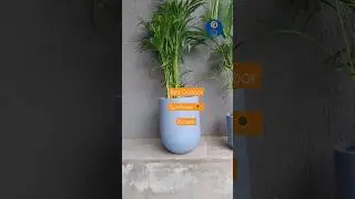 Best Outdoor Sunflower Planter| Resha Planter #greenthumb #indoorplanters #gardenaccessories