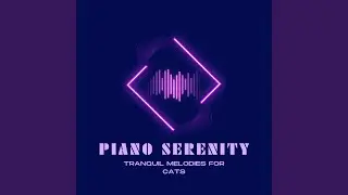Cat's Tranquil Piano Whispers