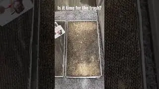 When is it time to get a new cardboard scratcher?
