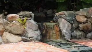 Hakuna Matata | St. John, Virign Islands