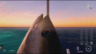 Fishing Planet - Maldives - Skipjack Tuna