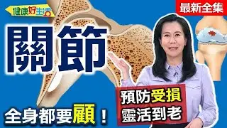 健康好生活  20240410  全身關節都要顧  預防受損靈活到老！
