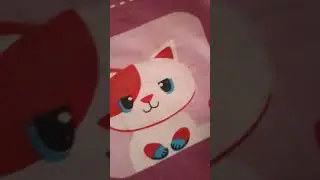 The cats &