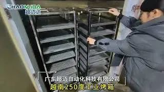 Hot air circulation industrial Oven: How to Achieve Uniform Baking and Efficient Production? &zwnj;