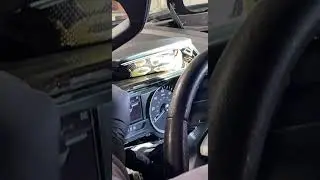 Snake in the car!