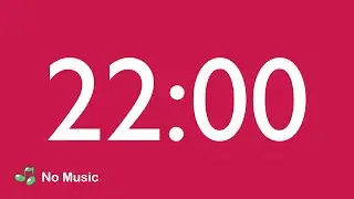 22 Minute Countdown Timer