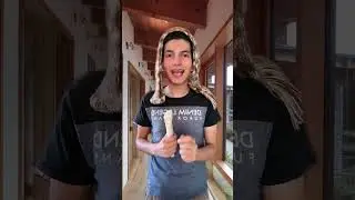 Aquí llego tu Tiburón 🦈